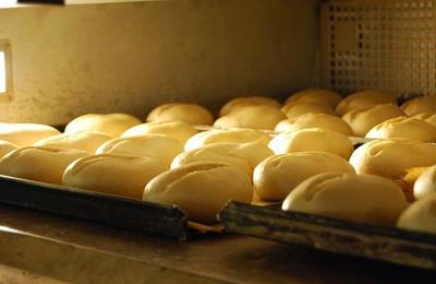 Brötchen beim Backen